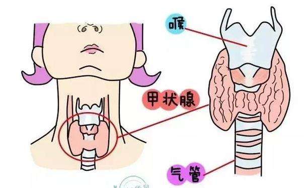 備孕一定要先做這項(xiàng)檢查，不然很容易得病