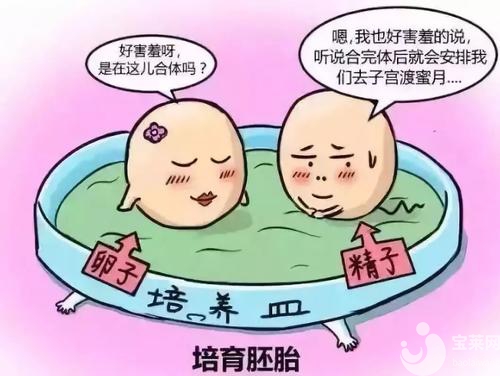 高齡女性真的不能做試管嬰兒了嗎？