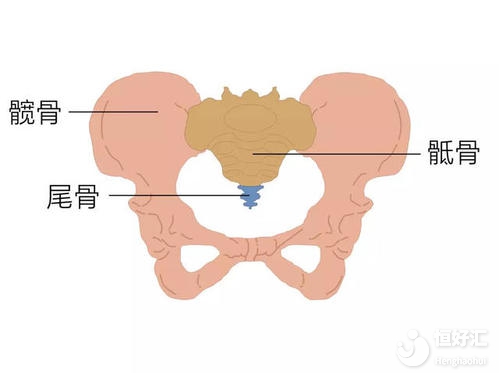 月經(jīng)期間骶骨痛，是盆腔充血的原因嗎？