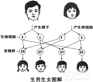 有這種情況的夫妻更容易生男孩，看完你就知道了