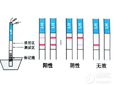 檢查懷孕的常見輔助方法，你了解過幾種？