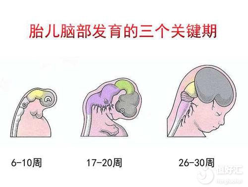 做胎教真的讓寶寶變聰明？醫(yī)生這句話打破所有幻想