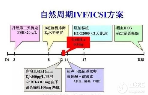 試管自然周期不知如何選擇？看完這個你就知道了