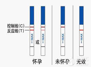 懷孕幾天能測(cè)出來(lái)？時(shí)間或許比你想象的要短