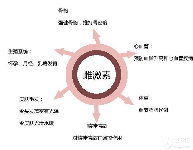 <strong>雌激素過多好不好？是不是會是女性更有吸引力</strong>